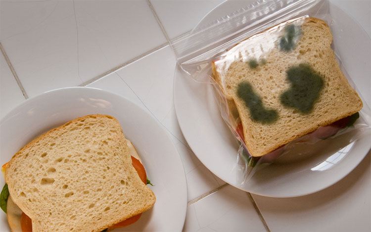 Anti-Theft Lunch Bags - Fake prank Moldy ziploc sandwich bags