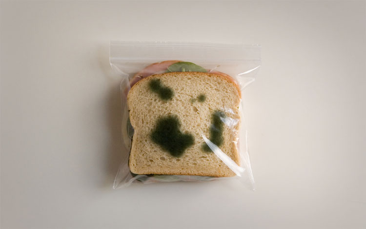 Anti-Theft Lunch Bags - Fake prank Moldy ziploc sandwich bags