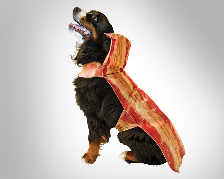 Bacon Dog Costume