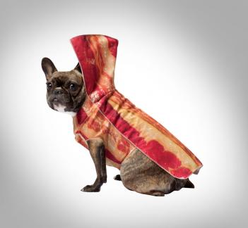 Bacon Dog Costume