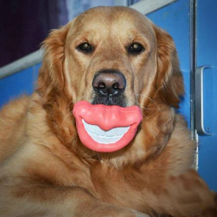 This Mouth Shaped Dog Toy Gives Your Pooch Big Lips and a Big Funny Smile –