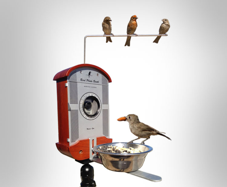 Bird Feeder Photo Booth