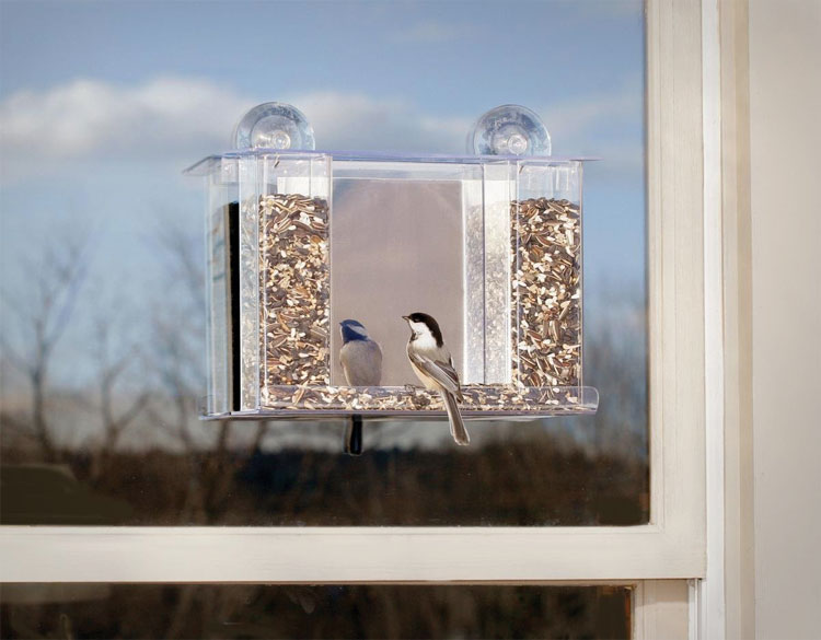 One Way Mirror Bird Feeder