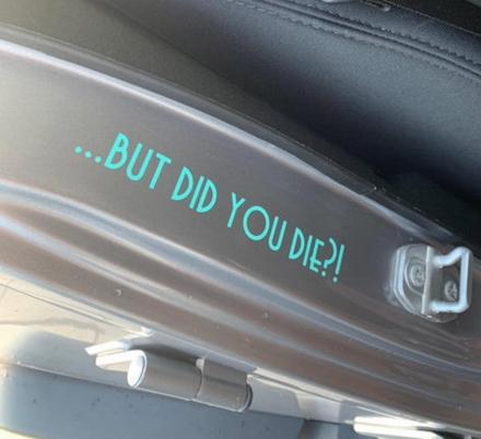‘But Did You Die?’ Car Decal