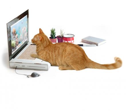 The Cat Scratch Laptop Is A Toy Laptop For Cats