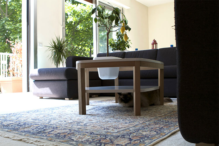 Volcane Feet Coffee Table With Planter