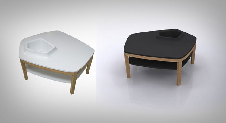 Volcane Feet Coffee Table With Planter