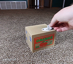 Coin Stealing Cat – Japanese Cat Piggy Bank
