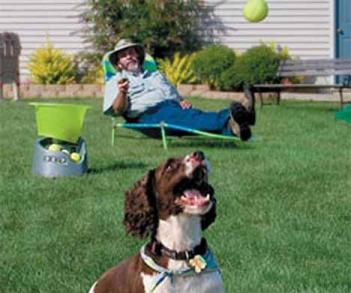 Dog Ball Fetching Machine