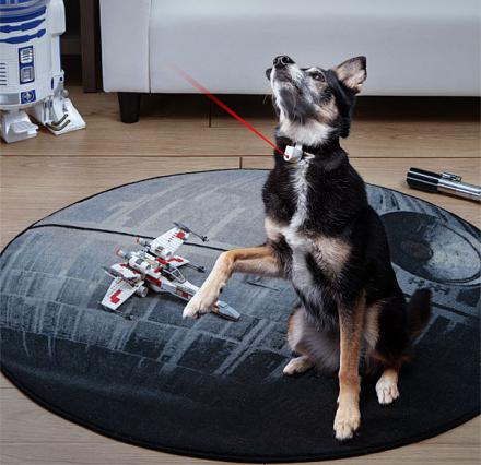 Dog Collar With Laser Pointer
