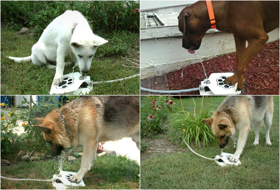 Dog Push Pedal Water Fountain - Doggie Fountain