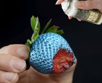 Edible Spray Paint