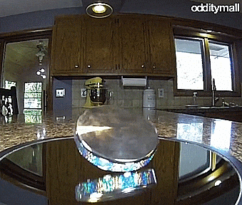 Euler’s Disk: A Hypnotic Infinite Spinning Disk
