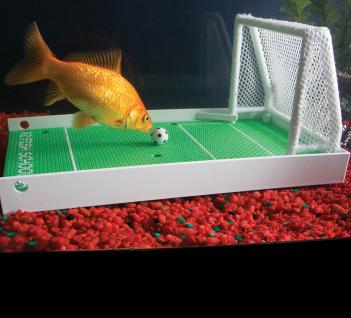 Fish Soccer Field Training Set