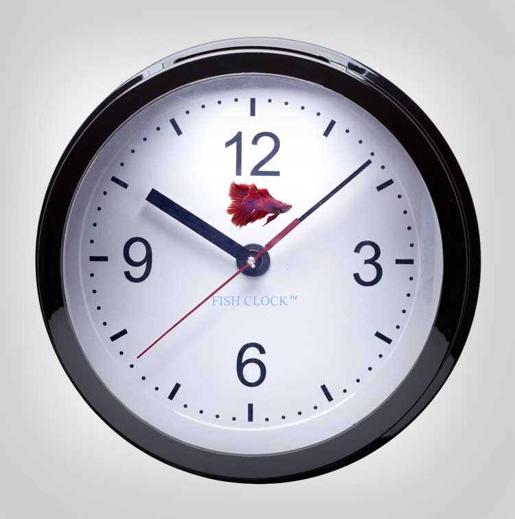Fish Tank Aquarium Clock 2