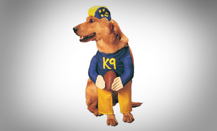 Football Player Dog Costume