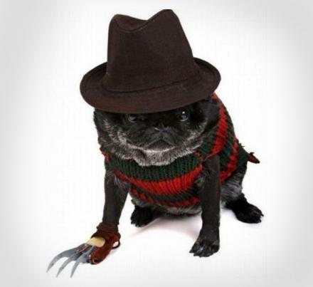 Freddy Krueger Dog Costume