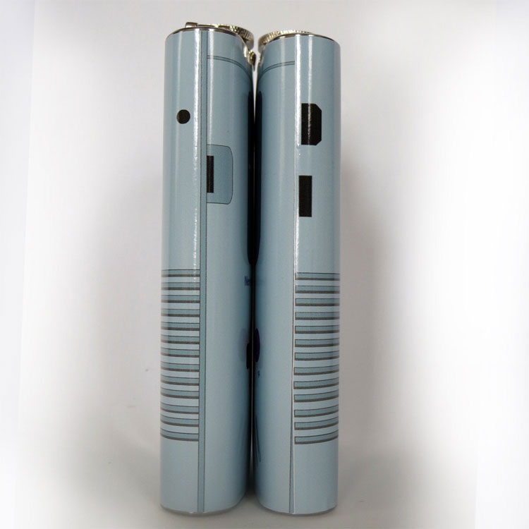 Gameboy Flask