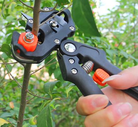 Gardener’s 2-In-1 Grafting Tool Does Both Pruning and Grafting