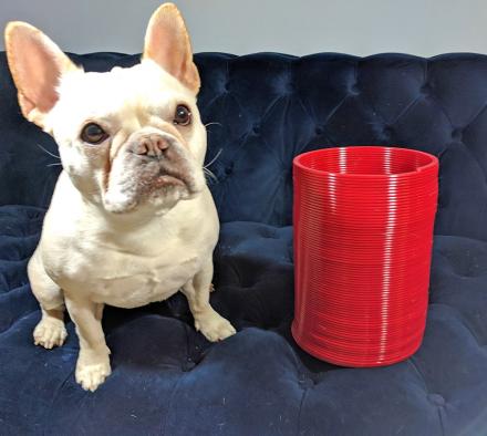 Giant Slinky – Super Spring Thing