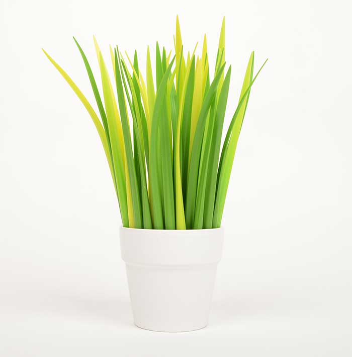 Grass Blade Shaped Pens 1