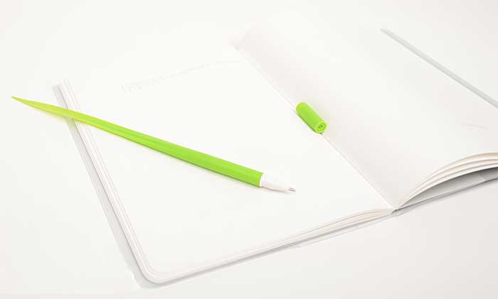 Grass Blade Shaped Pens 2
