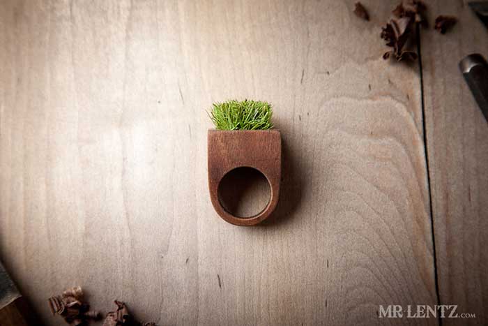 Grass Ring 1