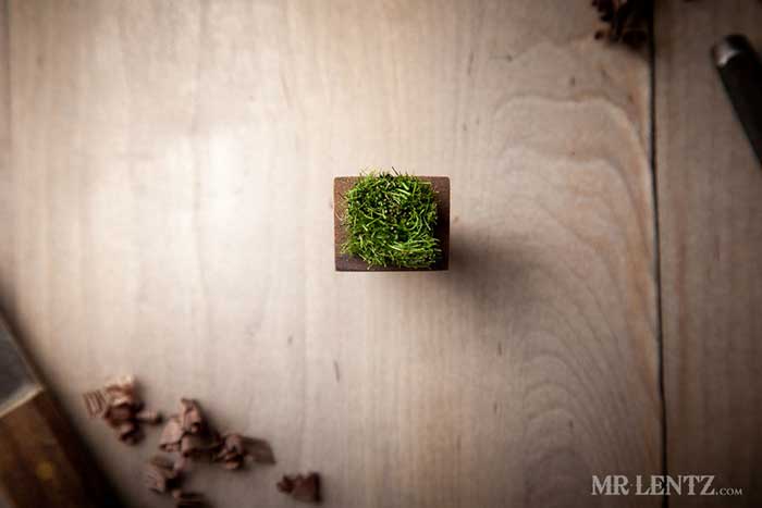 Grass Ring 3