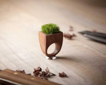 Grass Ring