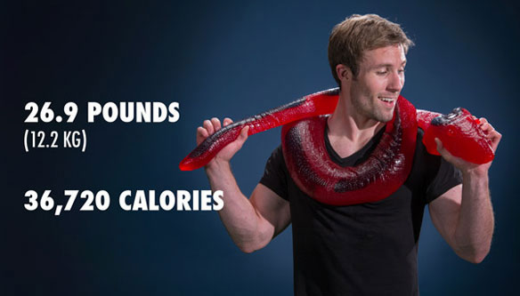 Gummy python 1