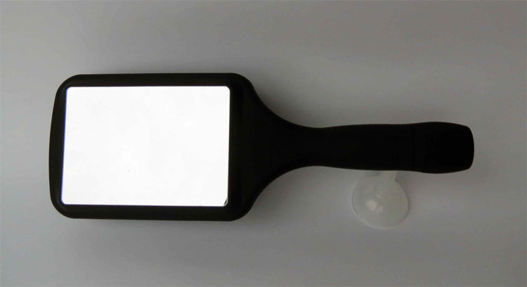 Hair Brush Flask