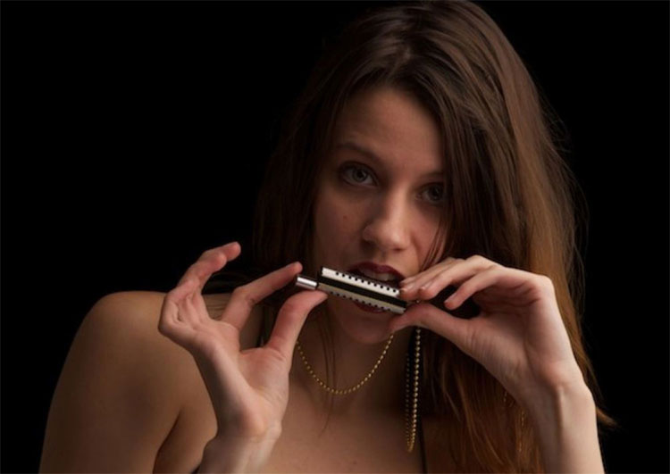 Harmonica Flash Drive