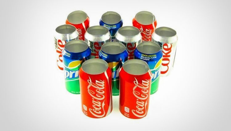 Beer Can Soda Cover