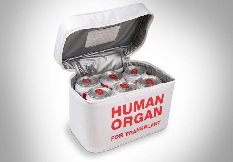 Human Organ Lunchbox