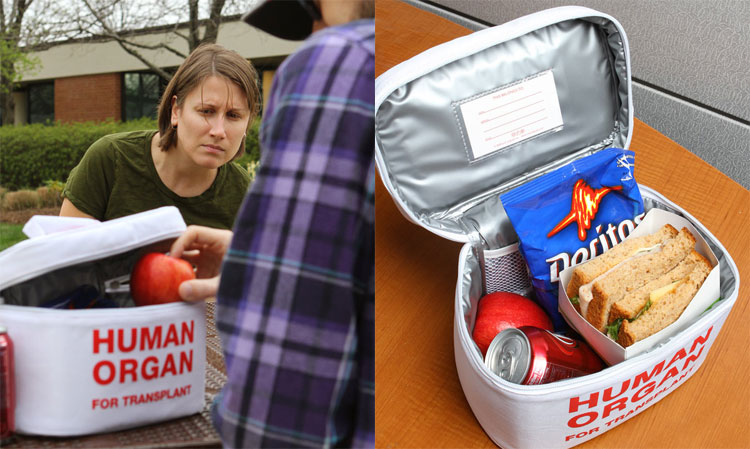 Human Organ Lunchbox