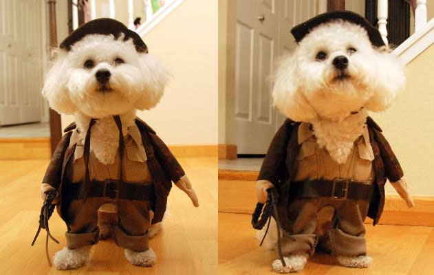 Indiana Jones Dog Costume