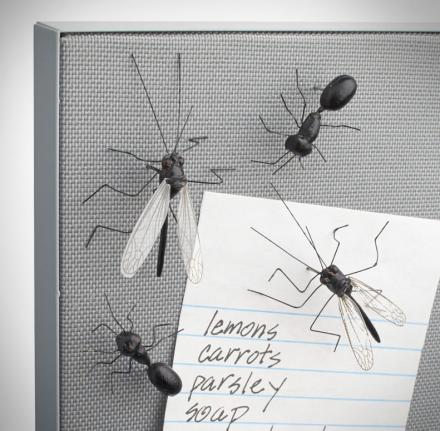Insect Push Pins