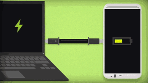 The Juicer - Phone To Phone Charging Cable