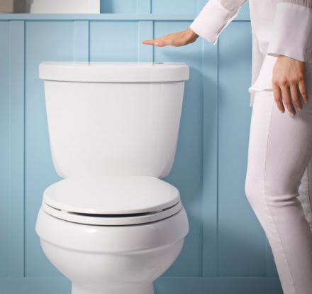 Kohler Touchless Toilet Flusher
