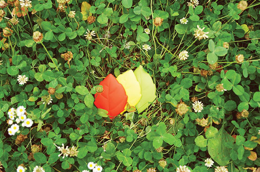 Leaf Shaped Silicone Pocket Cup 3