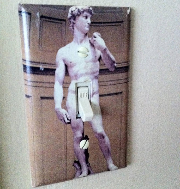 Michelangelo's David Penis Light Switch Plate