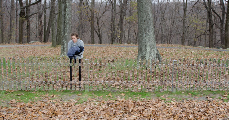 Mirrored Fence