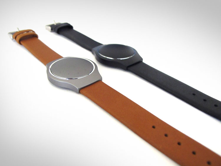 Misfit Shine Activity Tracker