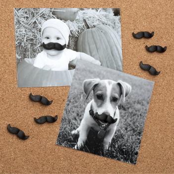Mustache Push Pins