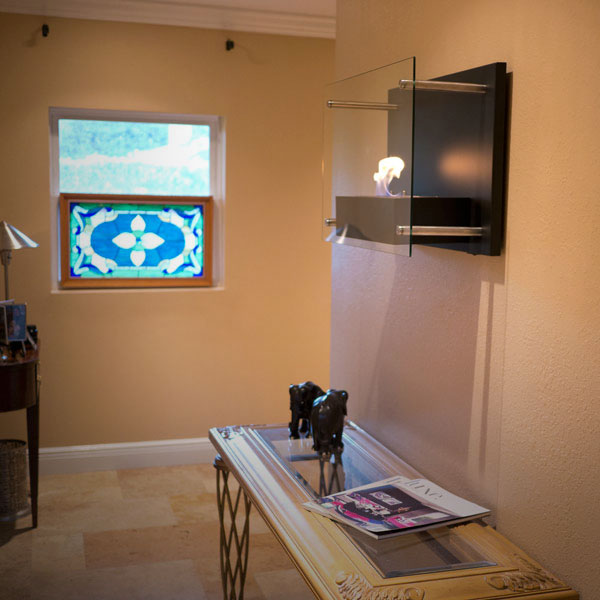 Nu-Flame Wall Mounted Fireplace
