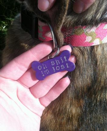 Oh Shit I’m Lost Dog Tag