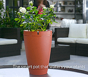 Parrot Smart Plant Watering Pot – Automatic Plant Waterer – Control It From Your Phone