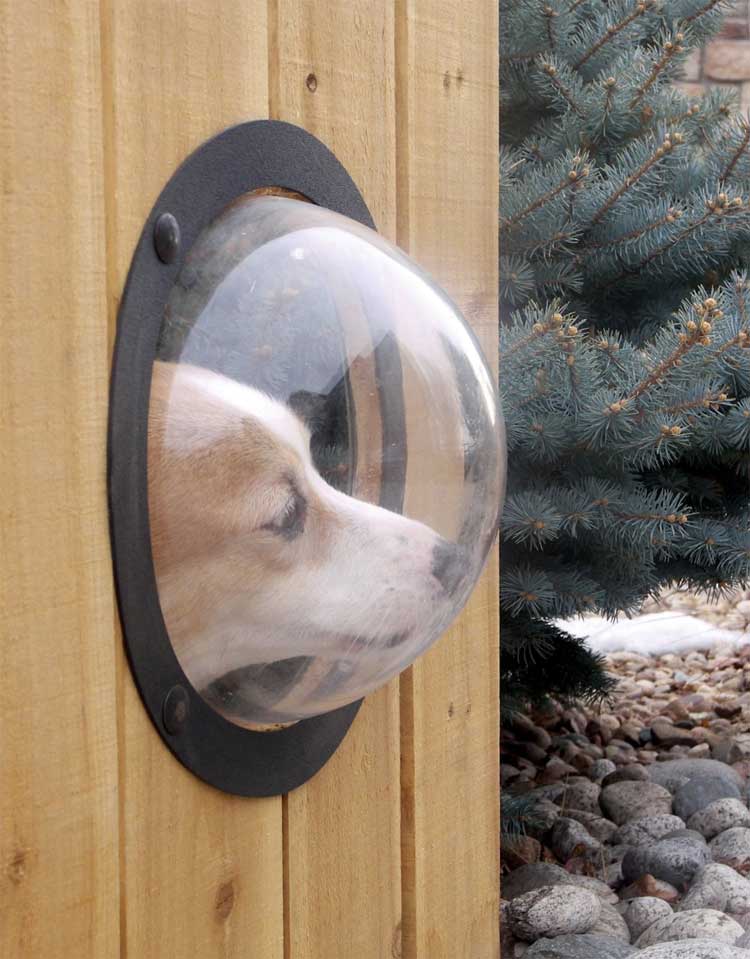 Pet Peek Fence Window For Dogs - bubble window for fences