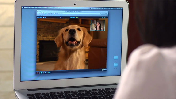 PetChatz Pet Webcam and Treat Dispenser