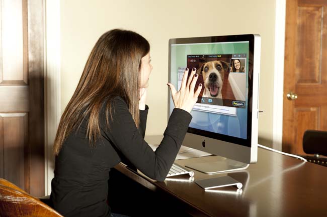 PetChatz Pet Webcam and Treat Dispenser